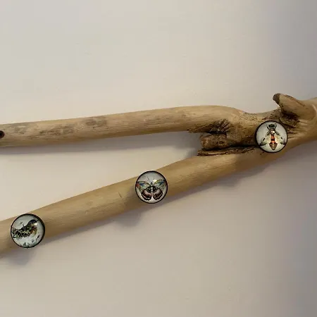 Ocean * ボルディゲーラ